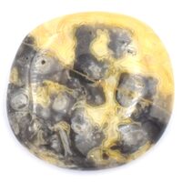 White Crazy Lace Agate Palm Stone
