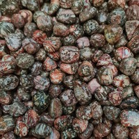 Leopardskin Jasper Tumbled Stones - 1Kg Lots