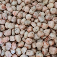Sunstone Tumbled Stones - 1Kg Lots