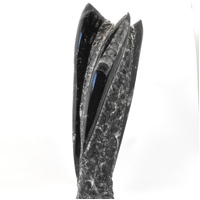 Orthoceras Fossil Statue [Large]