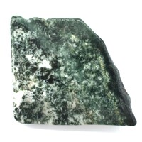 Tree Agate Polished Piece