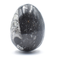 Orthoceras Egg Carving