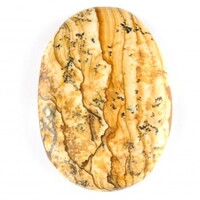 Picture Jasper Palm Stone