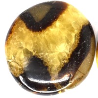 Septarian Stone Palm Stone