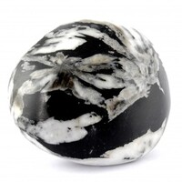 Chrysanthemum Stone Tumbled Stones [Extra Large 1pc]