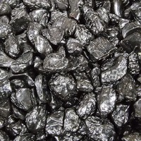 Tektite Tumbled Stones