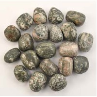 Shell Fossil Jasper Shell Fossil Tumbled Stones