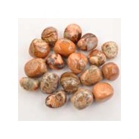 Silver Leaf Jasper Tumbled Stones