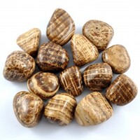 Brown Aragonite Tumbled Stones [Large]