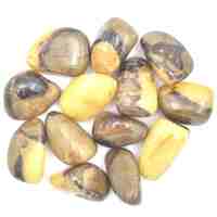 Septarian Stone Tumbled Stones [Large]