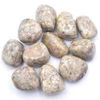 White Leopardskin Jasper  Tumbled Stones [Large]