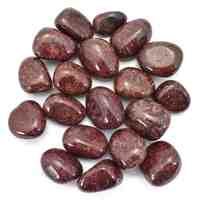 Red Rainbow Jasper Tumbled Stones [Medium]