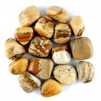 Picture Jasper Tumbled Stones [Medium]