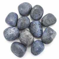 Blue Coral Tumbled Stones [Medium 100gm]