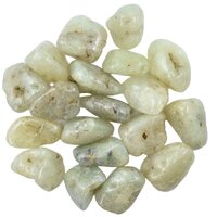 Prehnite Tumbled Stones [&#39;1&#39; Medium]