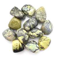 Rainforest Jasper Tumbled Stones [Medium]