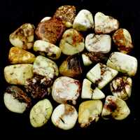 Lemon Chrysoprase Tumbled Stones [Small (Type C)]