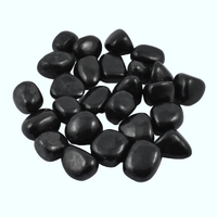 Shungite Tumbled Stones [Small 100gm]